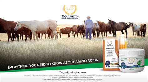 afsillin powder benefits|Guide to Essential Supplements For Racehorses .